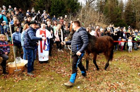 Robi Pernuš iz Češnjevka je prišel na Štefanjo Goro  peš ob mladem konju, staremu leto dni na blagoslov